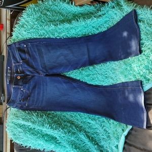 American Eagle size 12 regular